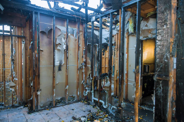 Professional Fire Damage Removal technician working in Norris, TN